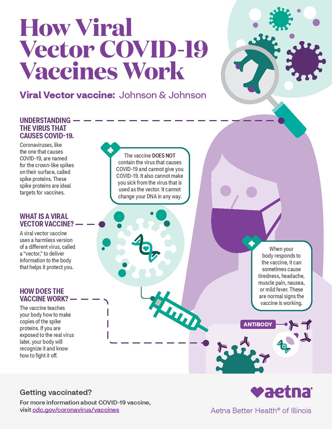 How vaccines work infographic